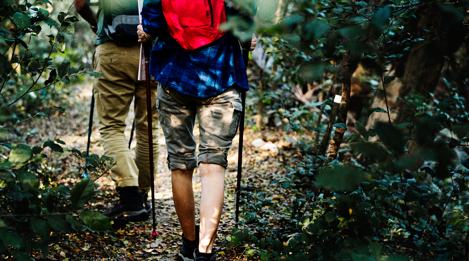 Hiking in the reserve