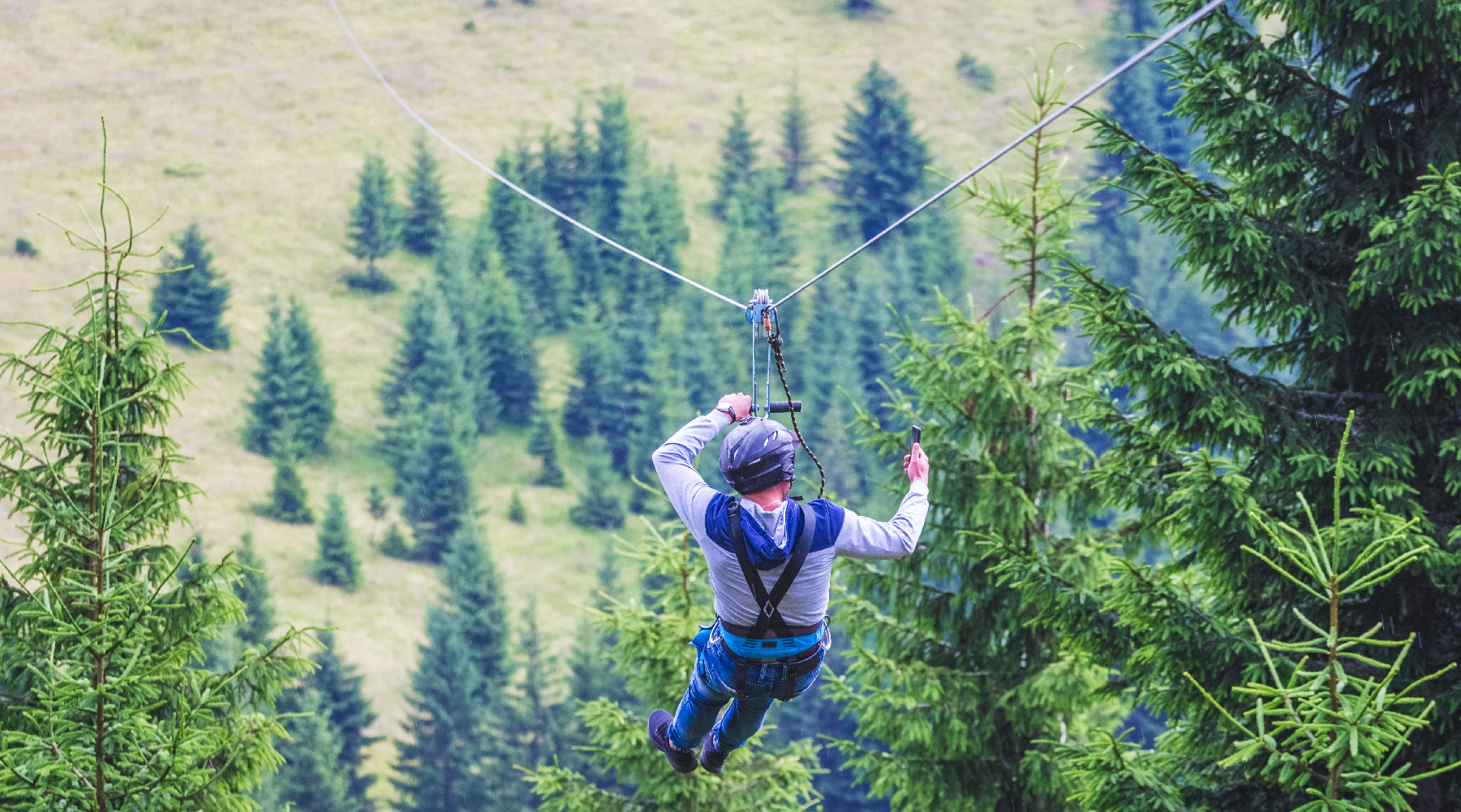 Ziplining in the reserve